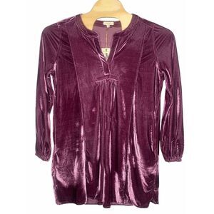 Easel Dress Women's size 1X Fairycore Velvet purple CottageCore Boho Whimsygoth‎